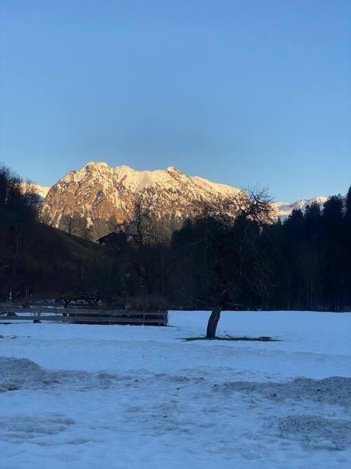 Gruenes Stueble Allgaeuer Alpen Sonthofen Exteriér fotografie